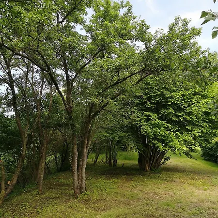 Semesterbostad Huus An`t Dörpsdiek *