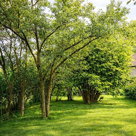 Huus An`t Dörpsdiek Krummhörn